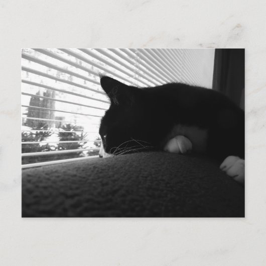 Charlie kijkt uit het raam briefkaart (Voorkant)