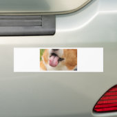Charlie Kisses Bumpersticker (Op auto)