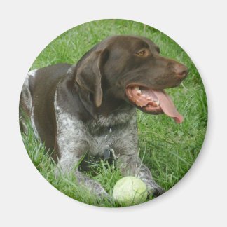 Charlie Magnet Magneet