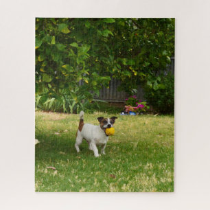 Charlie The Fox Terrier Ball Play, Jigsaw Puzzle