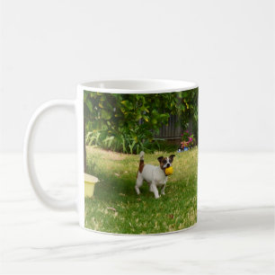 Charlie The Fox Terrier Ball Play, koffie-Mok Koffiemok