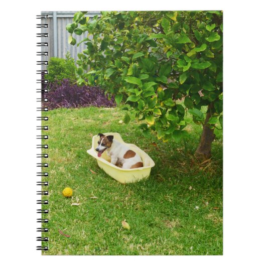Charlie The Fox Terrier Bath Time, Carnet (Devant)