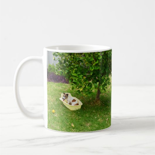 Charlie The Fox Terrier Heure de bain, Café Mug (Gauche)