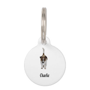 Charlie The Fox Terrier, Huisdierpenning