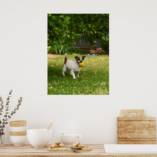 Charlie The Fox Terrier Jouer Temps, Poster (Cuisine)