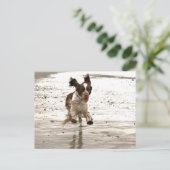 Charlie The Springer Briefkaart (Staand voorkant)