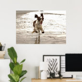 Charlie The Springer Poster (Thuiskantoor)