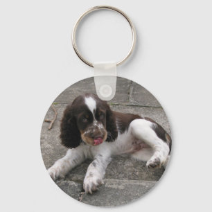 Charlie The Springer. Sleutelhanger