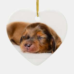Charlotte Newborn-Lovebugdoxies puppy keepomwille Keramisch Ornament