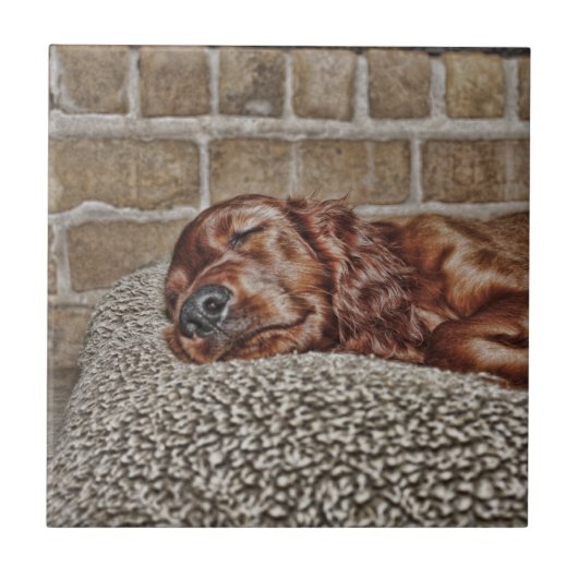 Charm Tegeltje (Voorkant)