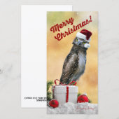 Charmante carte de Noël avec hibou 4x8 pouces (Devant / Derrière)