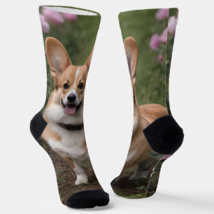 Charmante metgezel: een corgi in een roze rozentui sokken