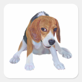 Charmante Olie-geschilderde Beagle in grappige zit Vierkante Sticker