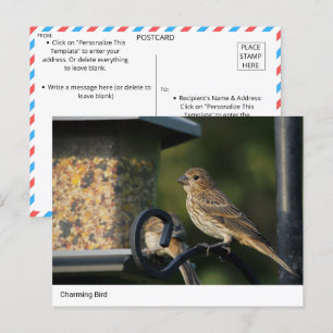 Charmante Tuinvogel bij Feeder Briefkaart