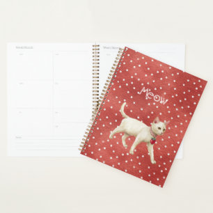 Charme de Fraise Chat Blanc