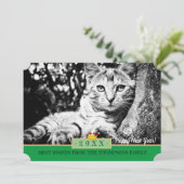 Charmer Kitten et Bonne année ! Carte /Chats (Debout devant)