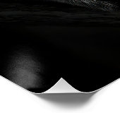 Charming Black & White Koala Fine Art Print | Perfect Poster (Hoek)