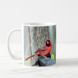 Charming Cardinals (Homme & Femme) Mug