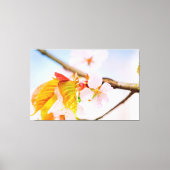 Charming Chic Sakura Flower and Leaves in Spring Canvas Afdruk (Voorkant)