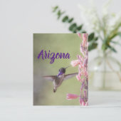 Charming Costa's Hummingbird, Briefkaart Arizona (Staand voorkant)