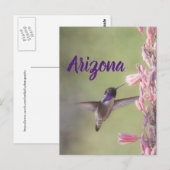 Charming Costa's Hummingbird, Briefkaart Arizona (Voorkant / Achterkant)