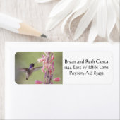 Charming Costa's Hummingbird Etiket (Insitu)