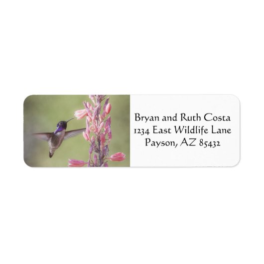 Charming Costa's Hummingbird Etiket (Voorkant)