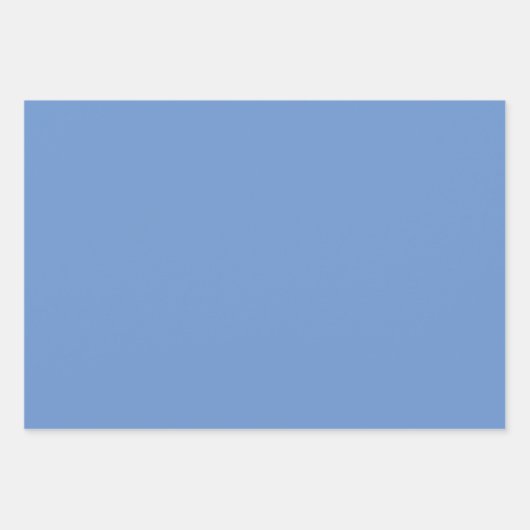 Charming Enchantment Inpakpapier Vel (Voorkant 3)