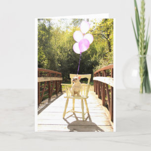 Charming French Bulldog Birthday Kaart