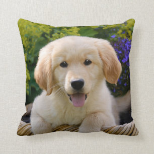 Charming Goldie Cute Puppy Portret, Square Kussen