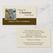 Charolais beef steer of heifer visitekaartje (Voorkant / Achterkant)