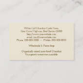 Charolais beef steer of heifer visitekaartje (Achterkant)