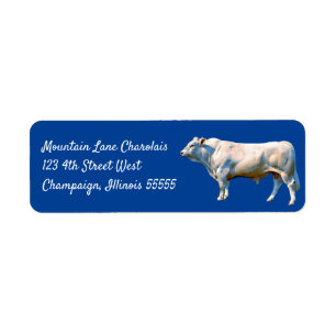 Charolais Bull Etiket