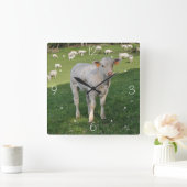 Charolais calf vierkante klok (Huis)