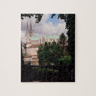 Chartres Cathedral Legpuzzel