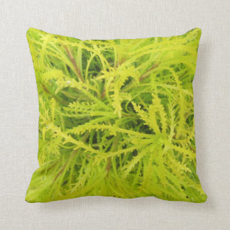 CHARTREUSE ! Coussin
