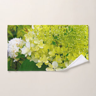 Chartreuse Green, Limelight Hydrangea,