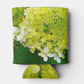 Chartreuse Green, Limelight Hydrangea Blikjeskoeler (Achterkant)