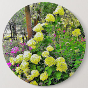 Chartreuse Green Limelight Hydrangea Garden Ronde Button 6,0 Cm