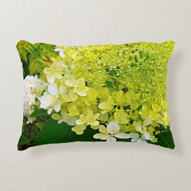 Chartreuse Groen, Limelight Hydrangea, Accent Kussen (Voorkant)