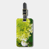 Chartreuse Groen, Limelight Hydrangea, Bagagelabel (Voorkant verticaal)