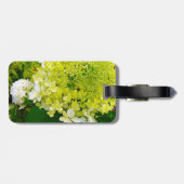 Chartreuse Groen, Limelight Hydrangea, Bagagelabel (Achterkant horizontaal)