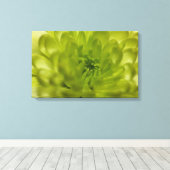 Chartreuse Groene Mum Verpakt Canvas Afdruk (Insitu (Houten vloer))