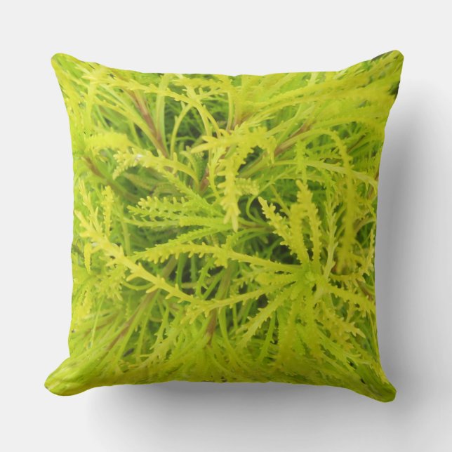 Chartreuse Pillow Kussen (Voorkant)