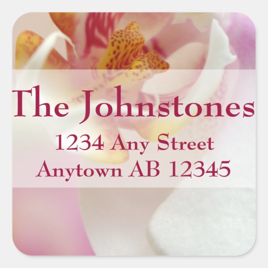 Chartreuse White Orchid Weddenschap Label (Voorkant)