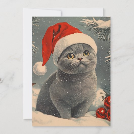 Chartreux Cat Christmas Feestdagenkaart (Voorkant)