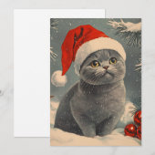 Chartreux Cat Christmas Feestdagenkaart (Voorkant / Achterkant)