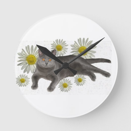 Chartreux Cat met Daisies Ronde Klok (Voorkant)