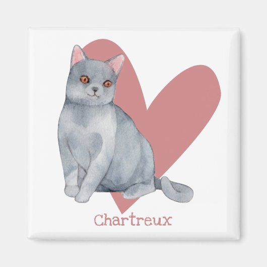 Chartreux Cat Waterverf Kat Roze hart Magneet (Voorkant)