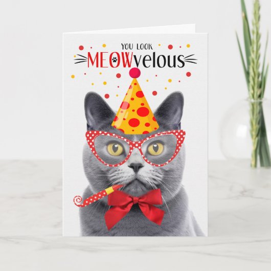 Chartreux Grijs Kat MEOWvelous Verjaardag Kaart (Voorkant)